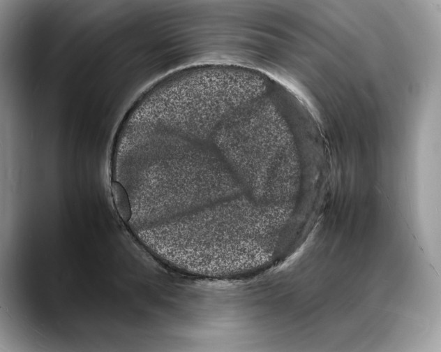 X0000088030896200706081459