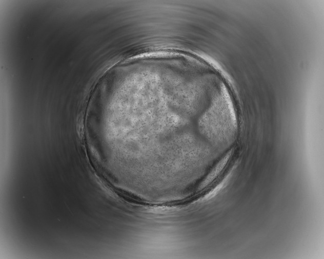 X0000088030897200706081459