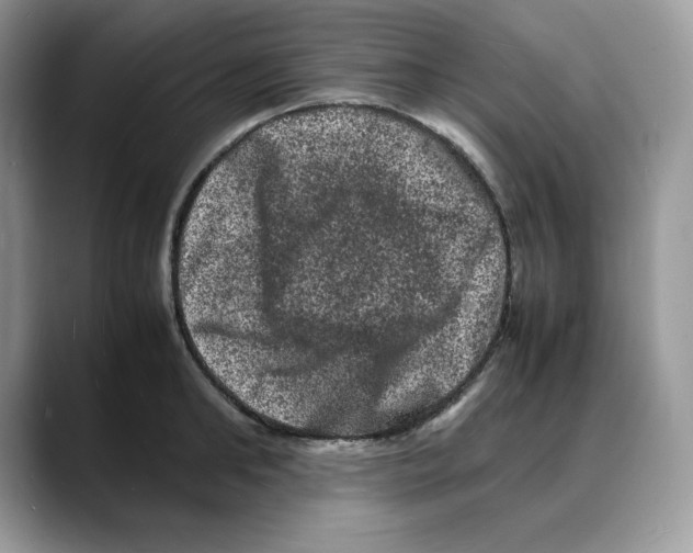 X0000088030902200706081459