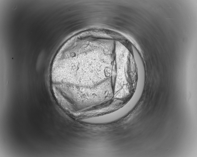 X0000088030903200706081459