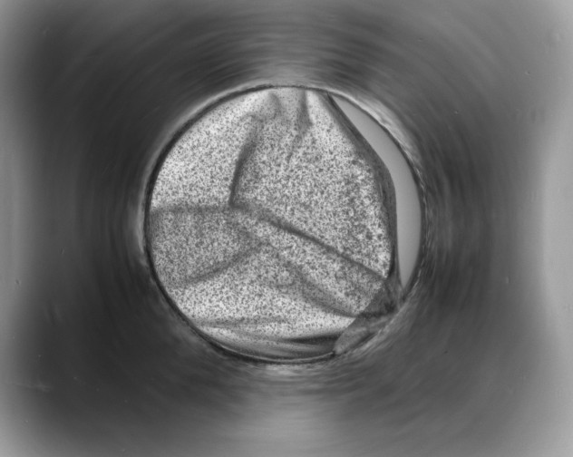 X0000088030904200706081459
