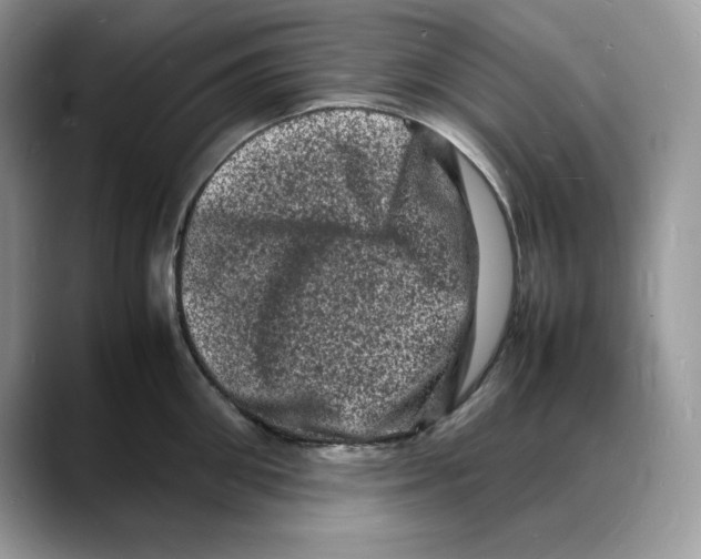 X0000088030906200706081459