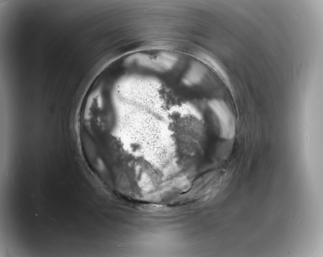 X0000088030907200706081459