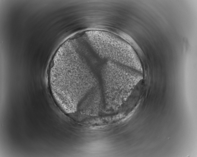 X0000088030908200706081459