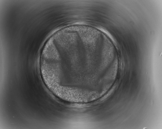 X0000088030910200706081459