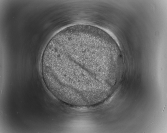 X0000088030911200706081459