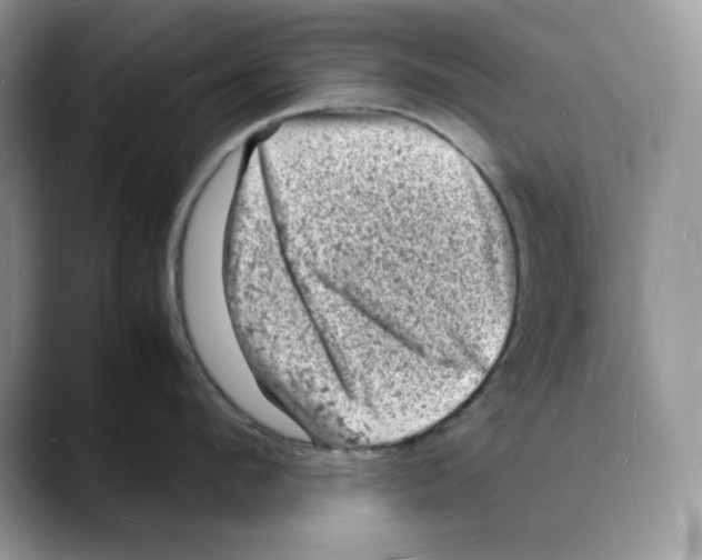 X0000088030912200706081459