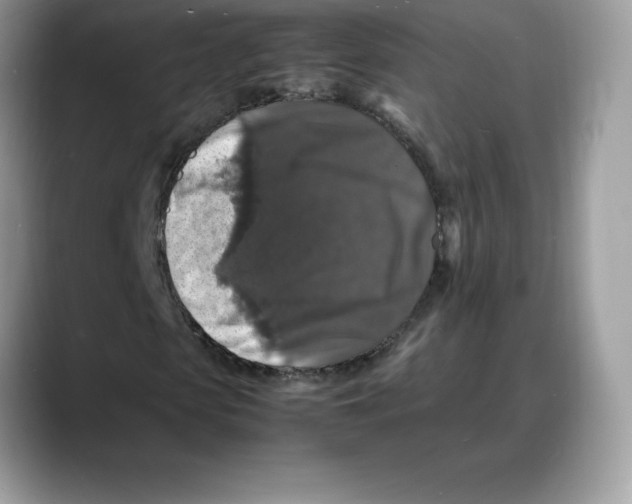 X0000088030913200706081458