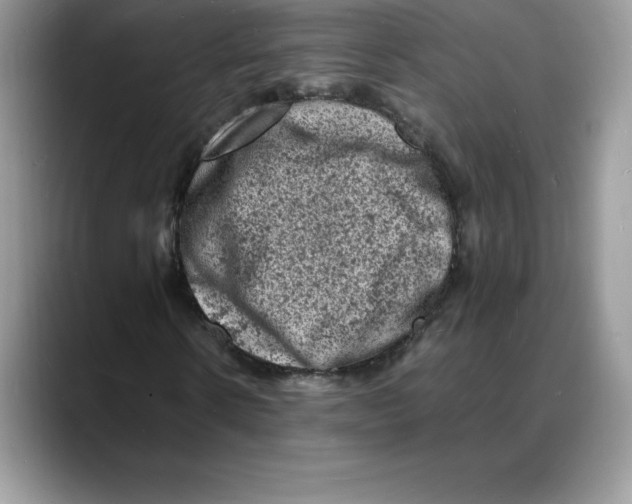 X0000088030914200706081458