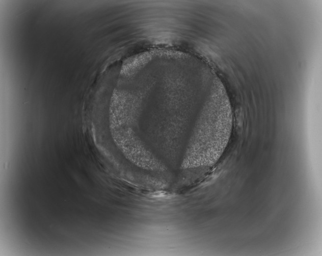 X0000088030916200706081458
