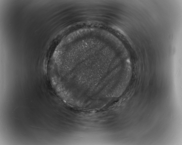 X0000088030919200706081458