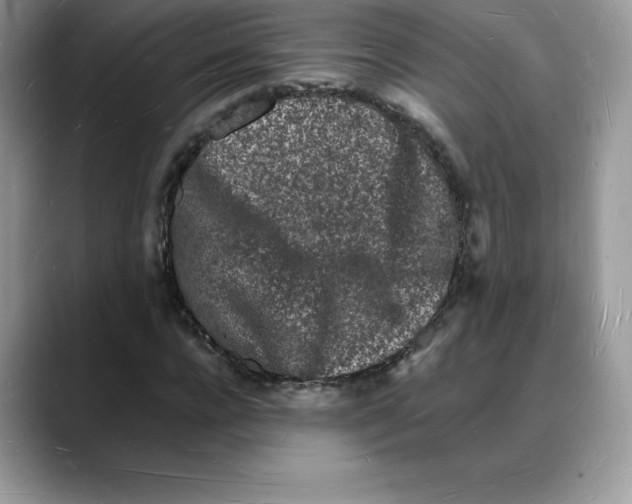 X0000088030920200706081458