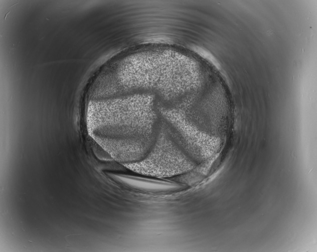 X0000088030922200706081458