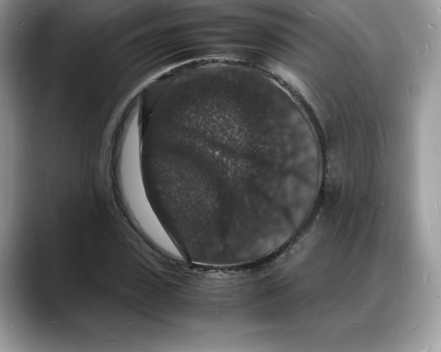 X0000088030923200706081458