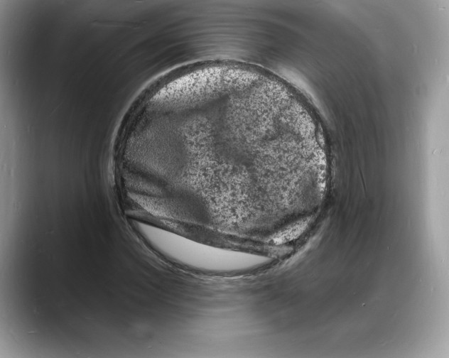 X0000088030924200706081458