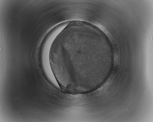 X0000088030926200706081458