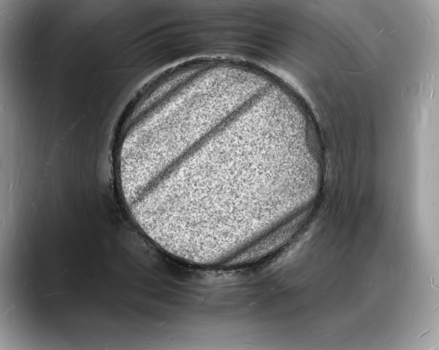 X0000088030927200706081458