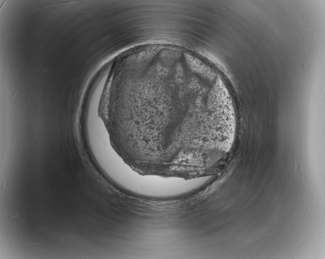X0000088030928200706081458