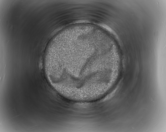 X0000088030929200706081458