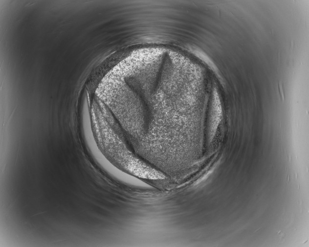 X0000088030930200706081458