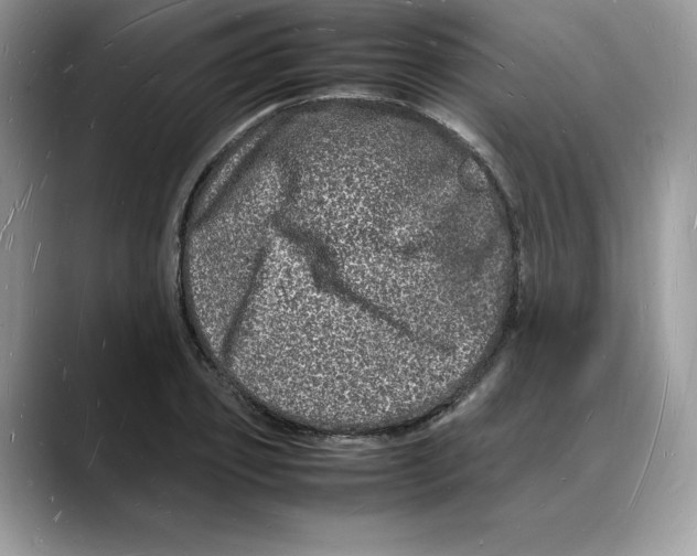 X0000088030933200706081458