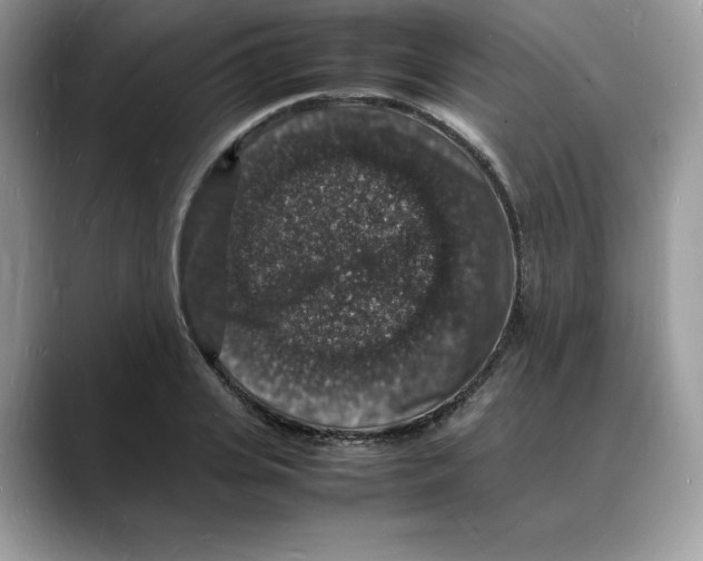 X0000088030935200706081458