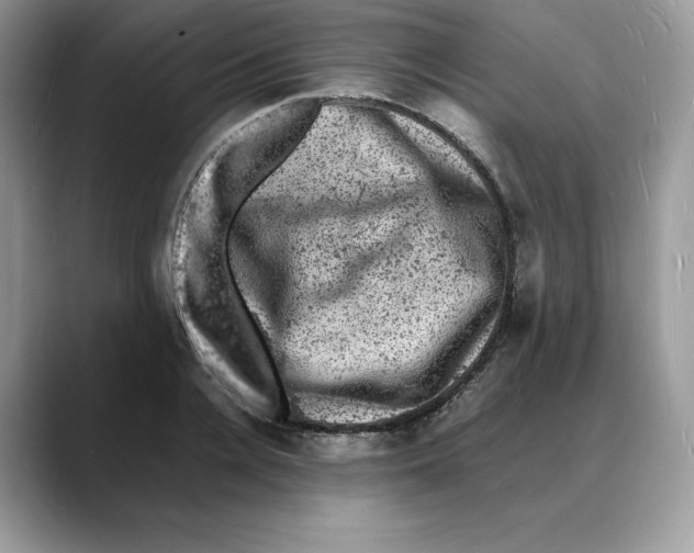 X0000088030936200706081458