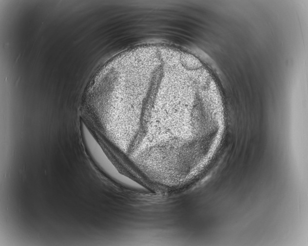 X0000088030937200706081458