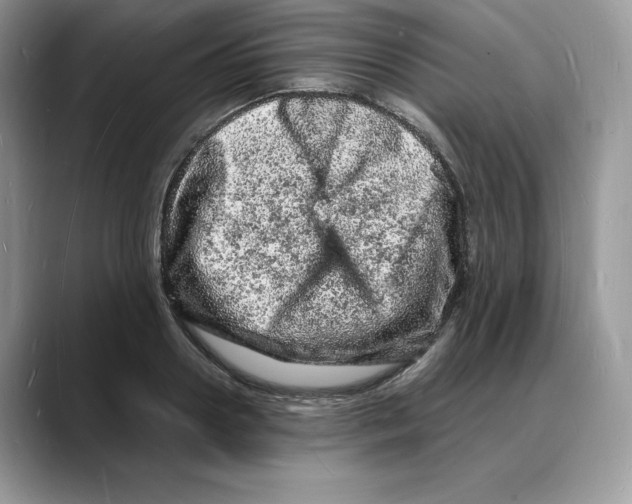 X0000088030938200706081458