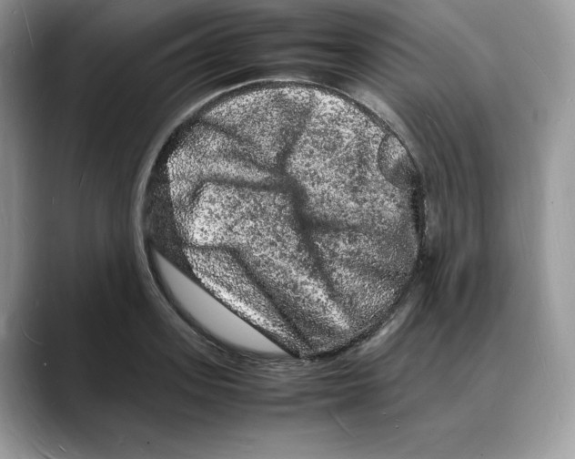 X0000088030939200706081458