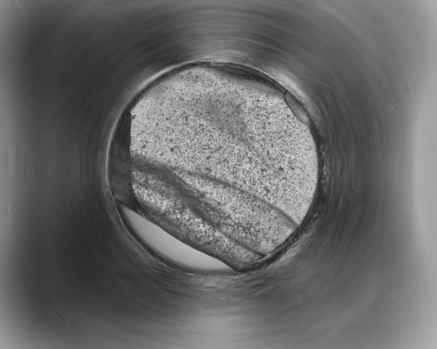 X0000088030940200706081458