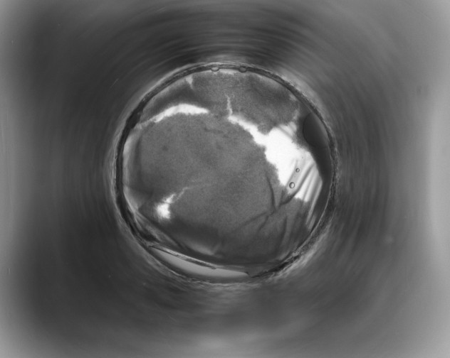 X0000088030941200706081458