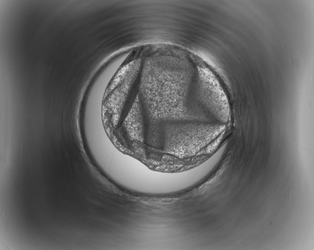 X0000088030942200706081458