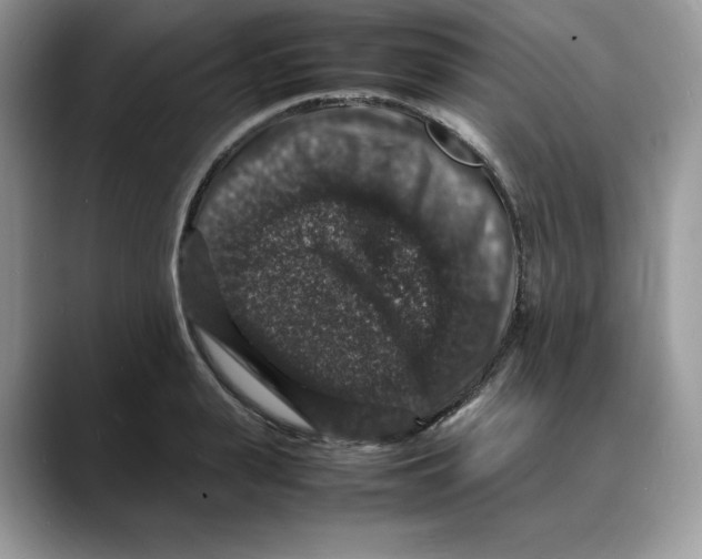 X0000088030943200706081458