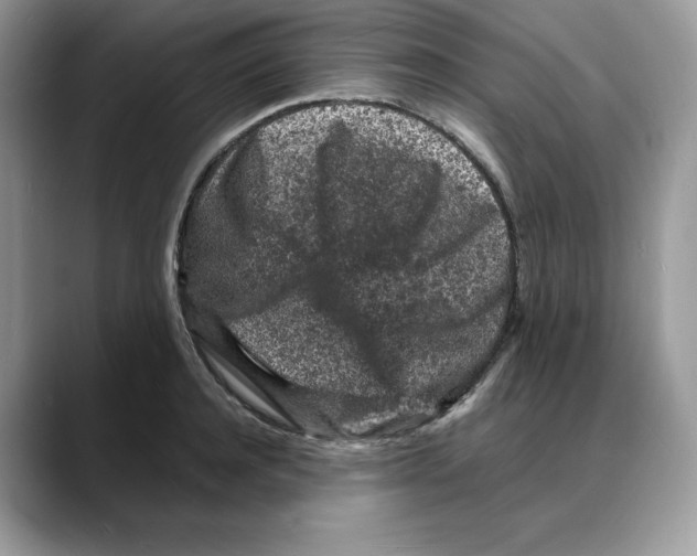 X0000088030944200706081458