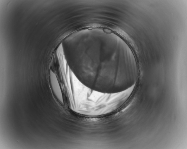 X0000088030945200706081458