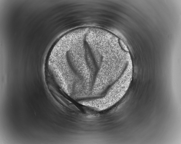 X0000088030947200706081459
