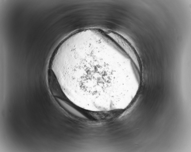 X0000088030949200706081459