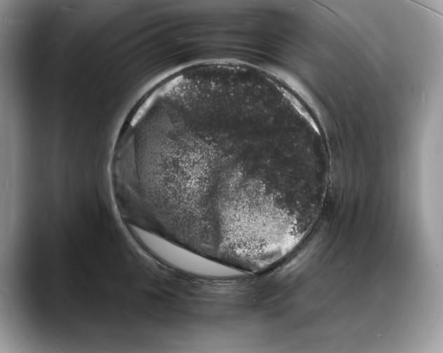 X0000088030951200706081459
