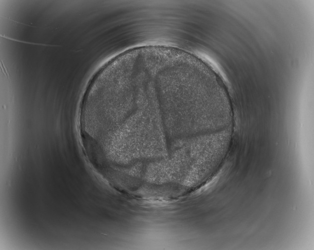 X0000088030952200706081459