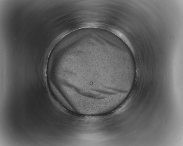 X0000088030954200706081459