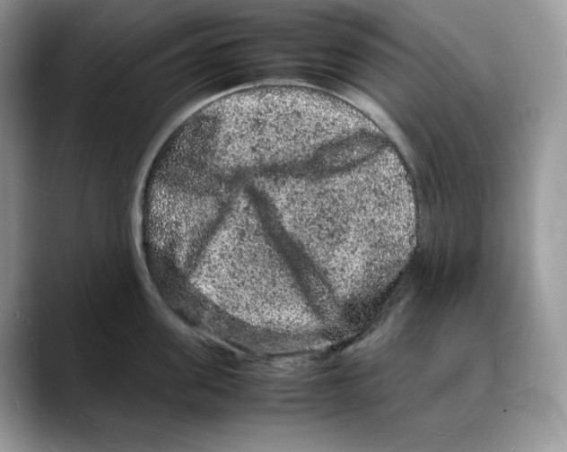 X0000088030955200706081459