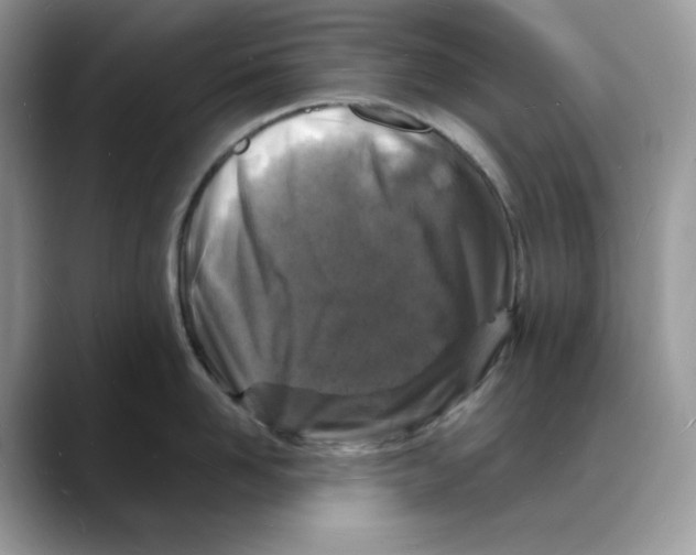 X0000088030958200706081459