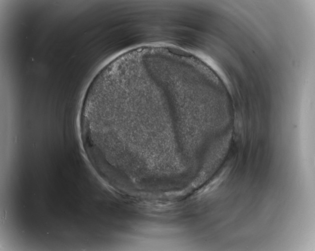X0000088030959200706081459
