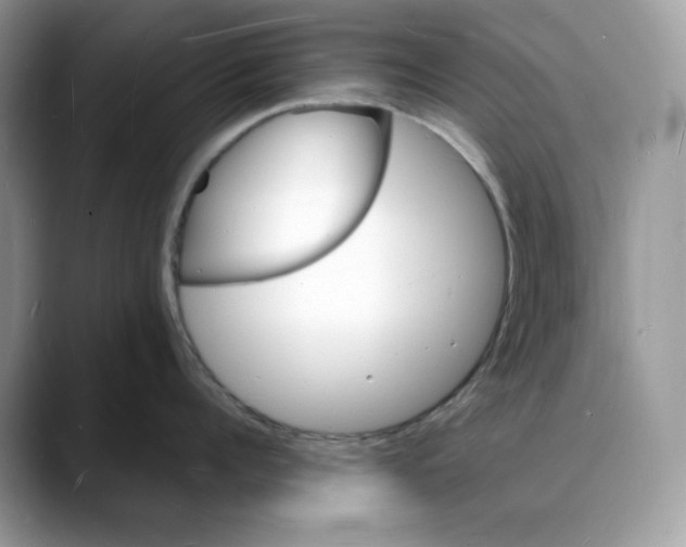 X0000088030960200706081459