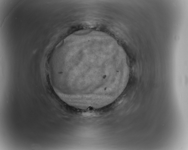 X0000088030961200706081458