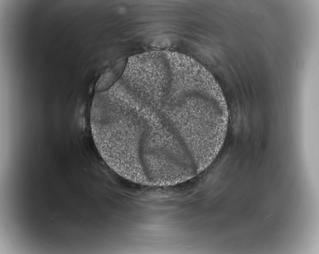 X0000088030962200706081458