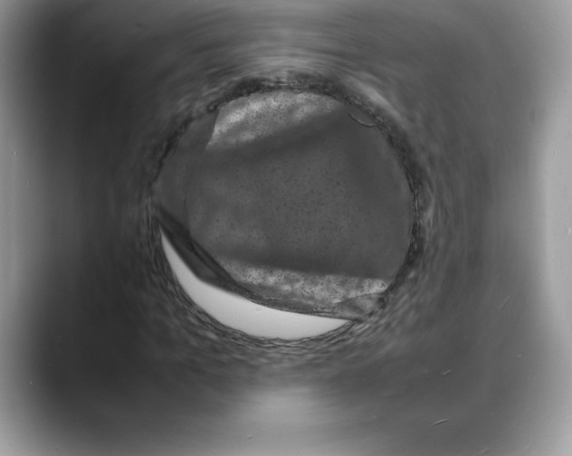 X0000088030965200706081458