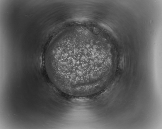 X0000088030966200706081458