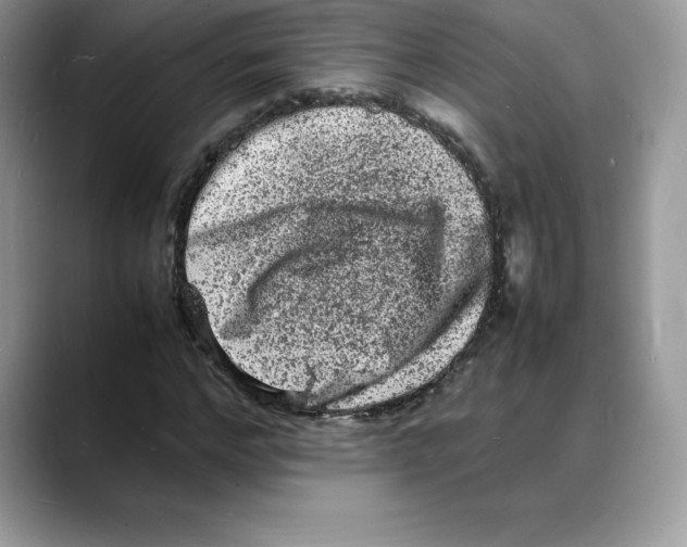 X0000088030968200706081458